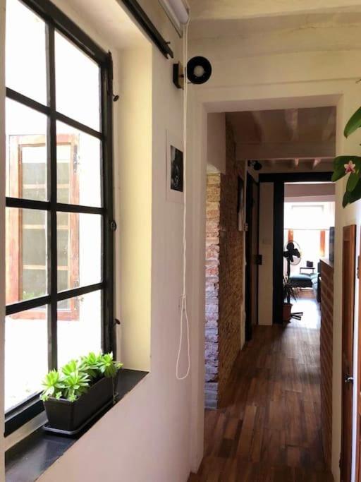Casa Torre San Lorenzo 比萨 外观 照片